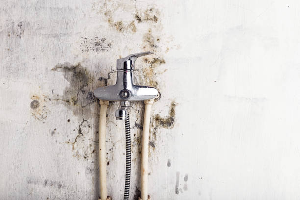 Best Affordable Mold Removal  in Corning, CA