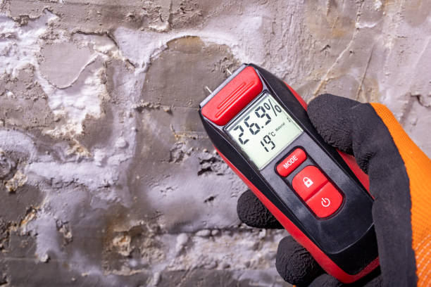 Best Office Mold Removal Services  in Corning, CA