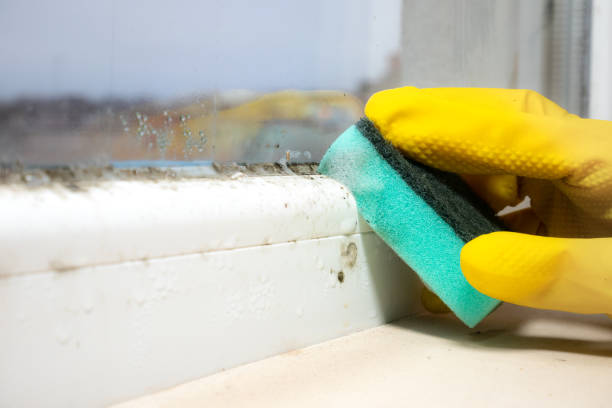 Best Residential Mold Removal  in Corning, CA