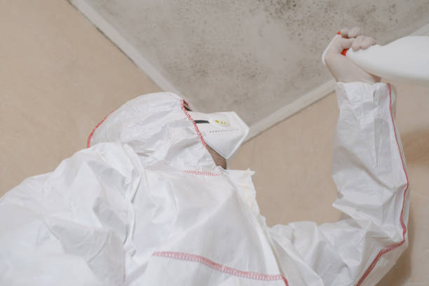 Best Toxic Mold Removal  in Corning, CA