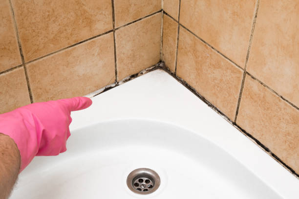 Best Commercial Mold Removal  in Corning, CA